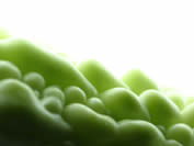 �k�ɭ��СG���̭W��