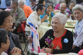 2016�~�q�Ѹ`�O��