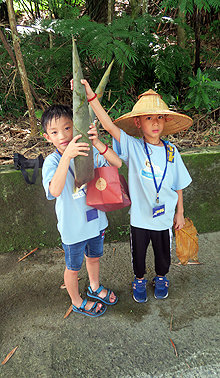 2019�~�k�ɮL�O��